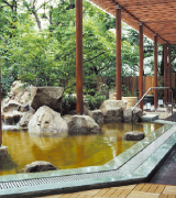 Toshimaen Garden SPA